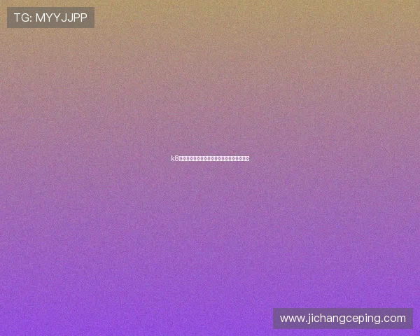 k8娱乐官方平台的支付方式多样性及安全性分析